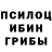 Галлюциногенные грибы ЛСД Agil Quliyev