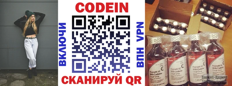Купить закладки  Хилок  Codein Purple Drank 