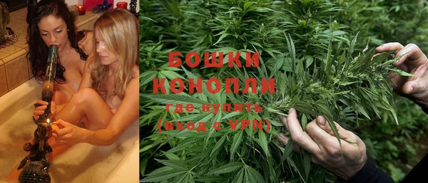PSILOCYBIN Дмитров