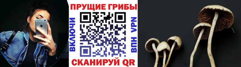 Галлюциногенные грибы Magic Shrooms Купить Хилок